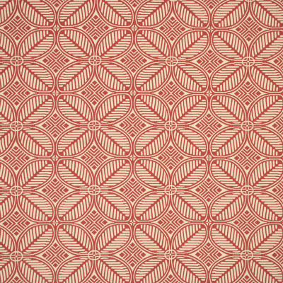 F6272 Rhubarb