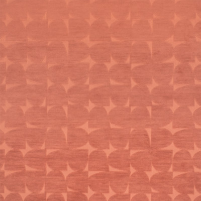 F6303 Blossom