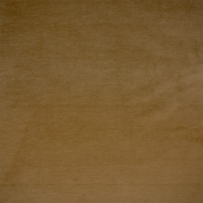 F6367 Vicuna