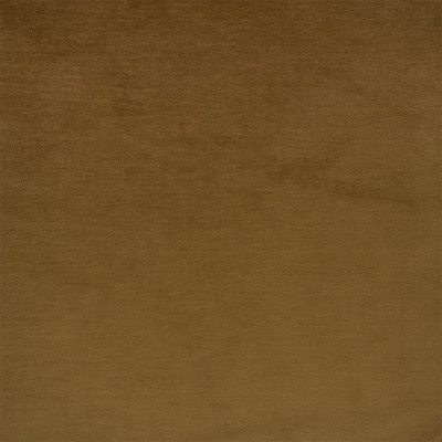 F6405 Camel