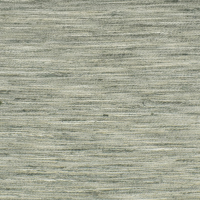S3389 Lichen