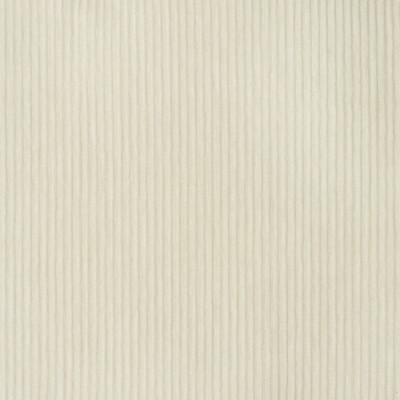 S3465 Sugar
