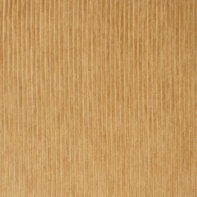 S3474 Cashew