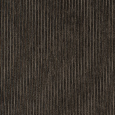 S3481 Mocha