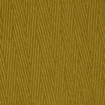 S3546 Olive