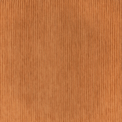 S3554 Papaya