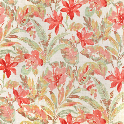 S3625 Coral
