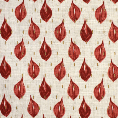 S3644 Coral