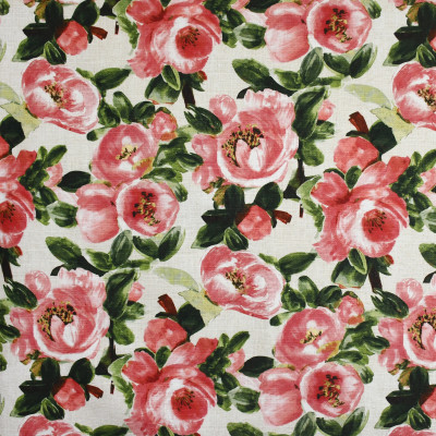 S3645 Rose
