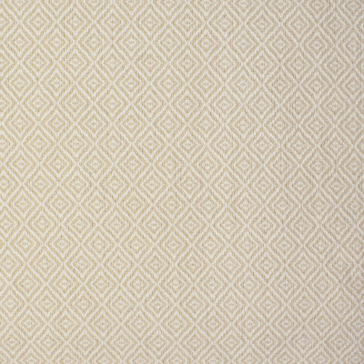 S3681 Seashell