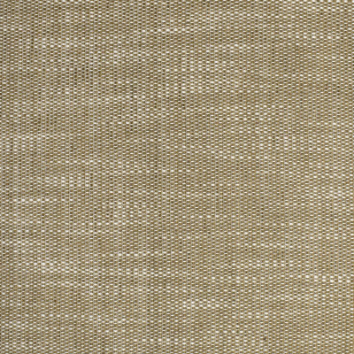 S3704 Fawn
