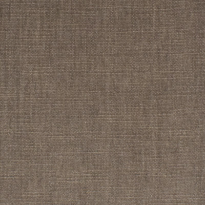 S3871 Birch