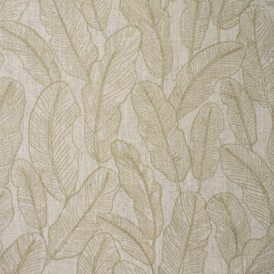 S3885 Ivory