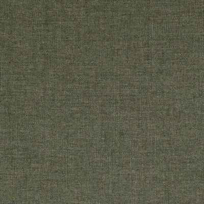 S3939 Forest
