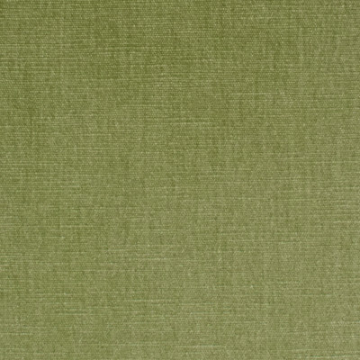 S3952 Aloe