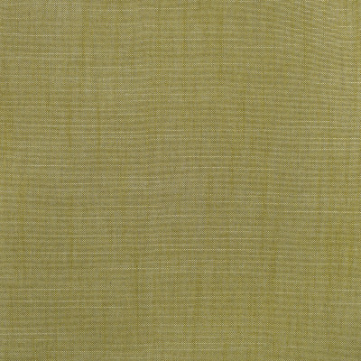 S3954 Fern