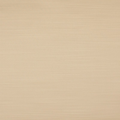 S4731 Powder