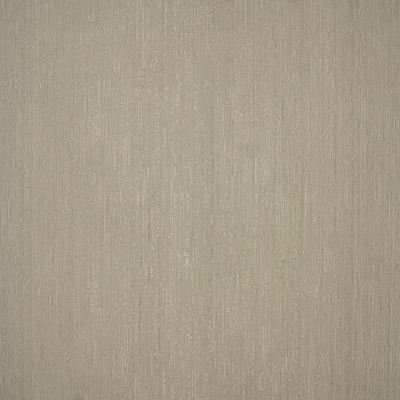 S4744 Abalone
