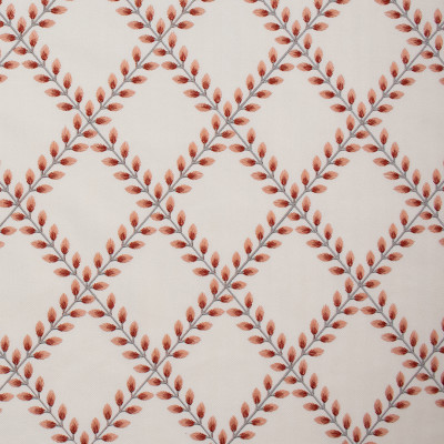 S5857 Coral