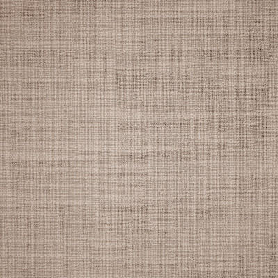 S5919 Fog