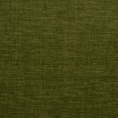 S5960 Kale