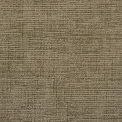 S6002 Ivy