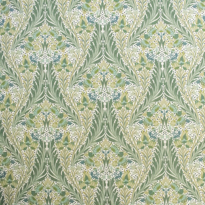 S6030 Evergreen