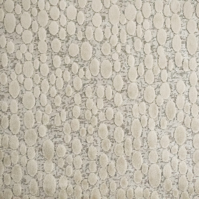 S6084 Oyster