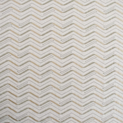 S6089 Bone