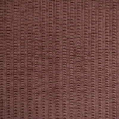 S6092 Berry