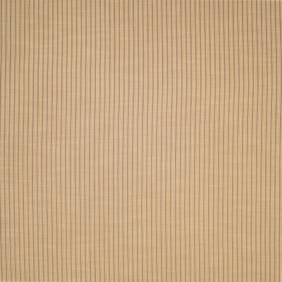 S6821 Sisal