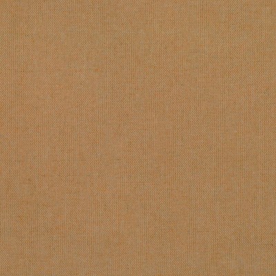 S7093 Camel