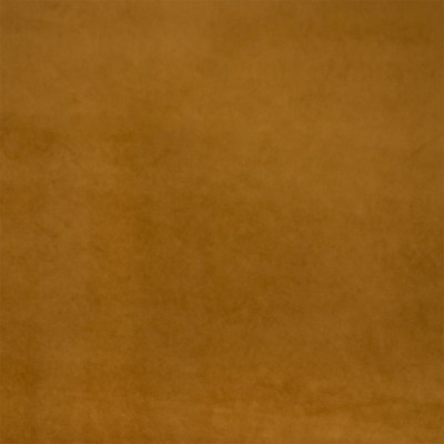 S7127 Amber