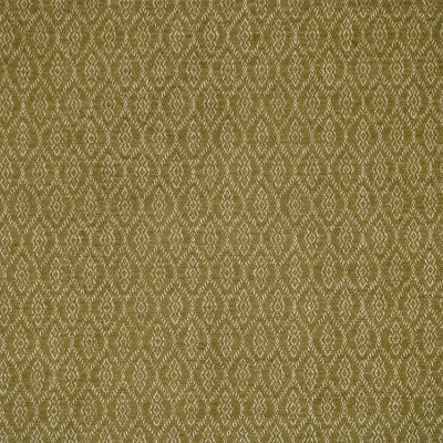S7141 Olive