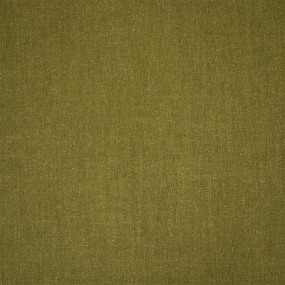 S7159 Fern