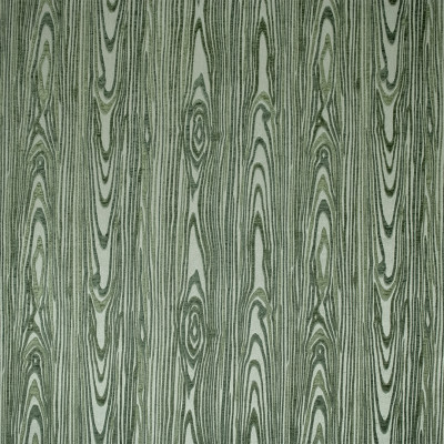 S7165 Lichen