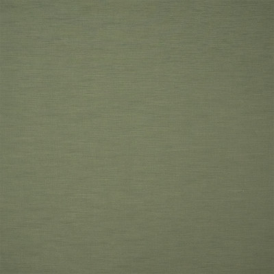 S7172 Fern