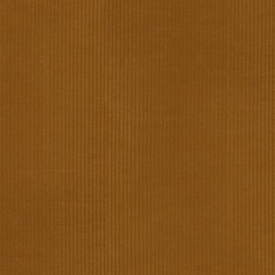 S7193 Honey