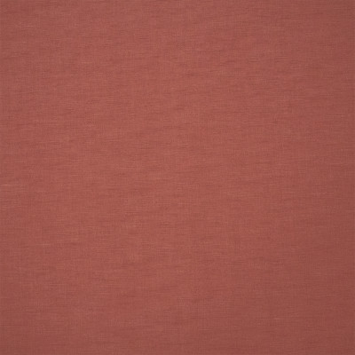 S7202 Berry