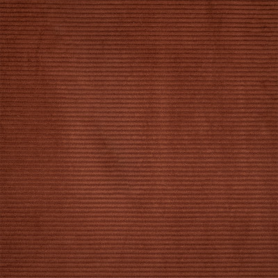 S7220 Currant