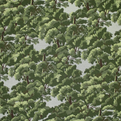 S7245 Pine