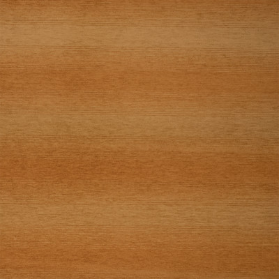 S7249 Honey