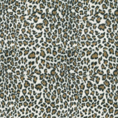 LEOPARD PROWL