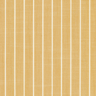 F6552 Tumeric