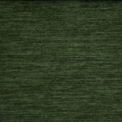 F6581 Lichen