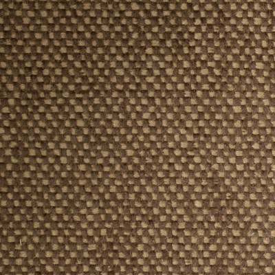 F6641 Nutmeg