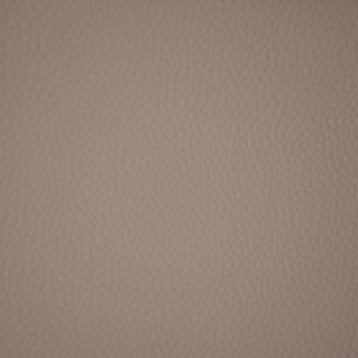 F6651 Zinc