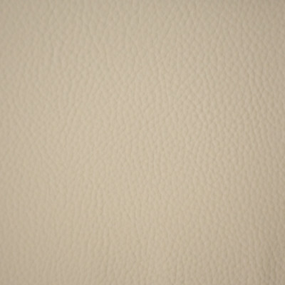 F6652 Bone