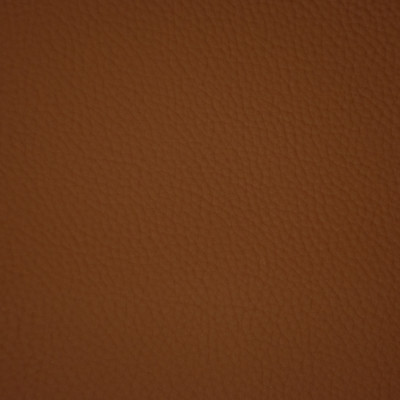 F6658 Cinnamon