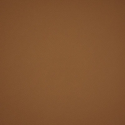 F6661 Tan